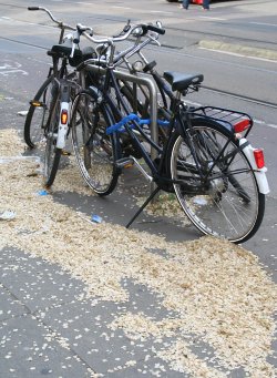 vélos et neige de printemps