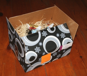 Mon cadeau de Noël
